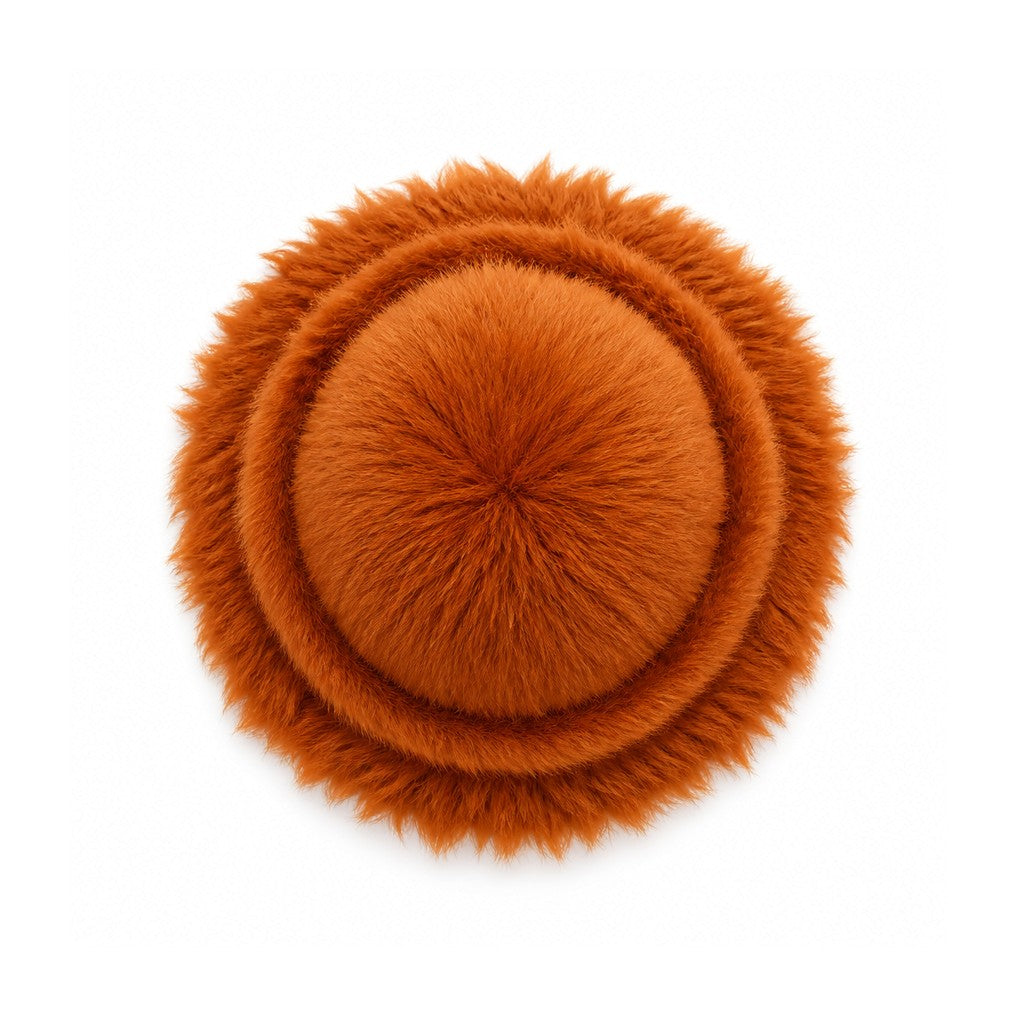 Orange | top view